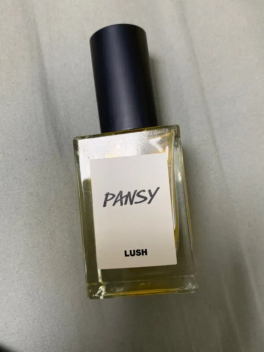 러쉬 pansy